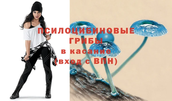 jwh Гусиноозёрск